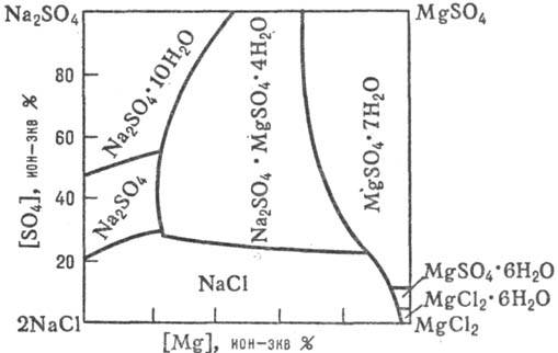 https://www.medpulse.ru/image/encyclopedia/1/1/3/13113.jpeg