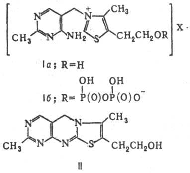 https://www.medpulse.ru/image/encyclopedia/1/1/3/14113.jpeg