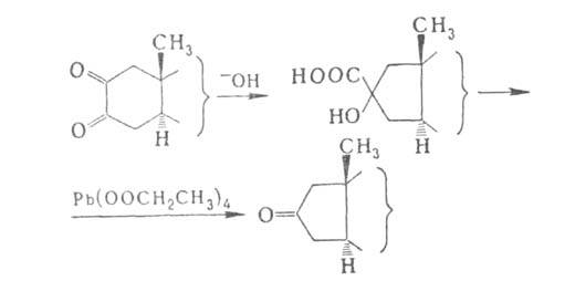 https://www.medpulse.ru/image/encyclopedia/1/2/6/3126.jpeg