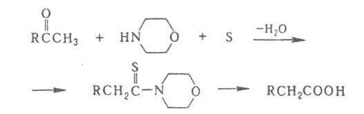 https://www.medpulse.ru/image/encyclopedia/1/2/9/4129.jpeg