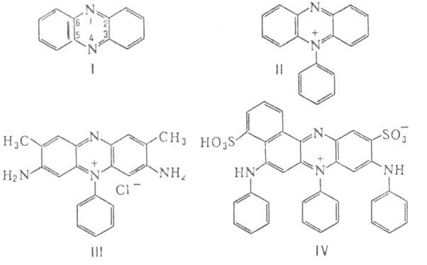 https://www.medpulse.ru/image/encyclopedia/1/4/1/1141.jpeg