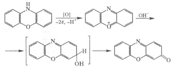 https://www.medpulse.ru/image/encyclopedia/1/4/3/15143.jpeg