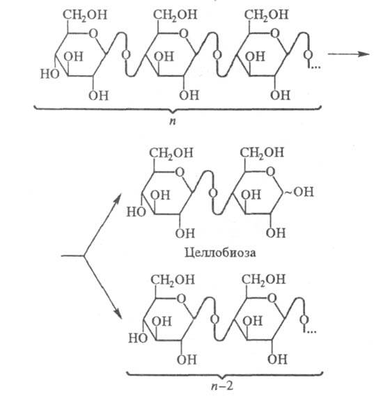 https://www.medpulse.ru/image/encyclopedia/1/5/3/17153.jpeg