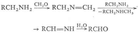 https://www.medpulse.ru/image/encyclopedia/1/6/0/13160.jpeg