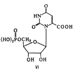 https://www.medpulse.ru/image/encyclopedia/1/7/1/10171.jpeg