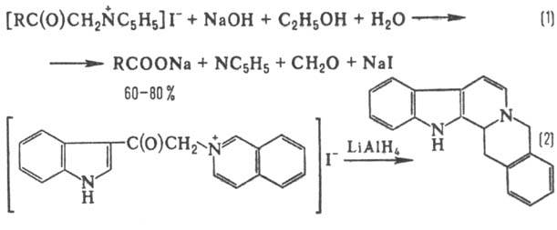 https://www.medpulse.ru/image/encyclopedia/1/7/5/10175.jpeg