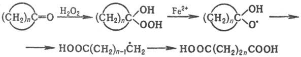 https://www.medpulse.ru/image/encyclopedia/1/7/7/12177.jpeg