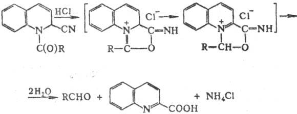 https://www.medpulse.ru/image/encyclopedia/2/1/8/12218.jpeg