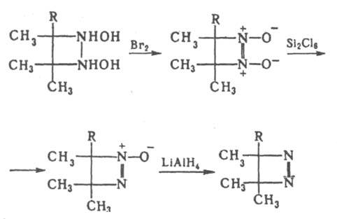 https://www.medpulse.ru/image/encyclopedia/2/2/2/6222.jpeg