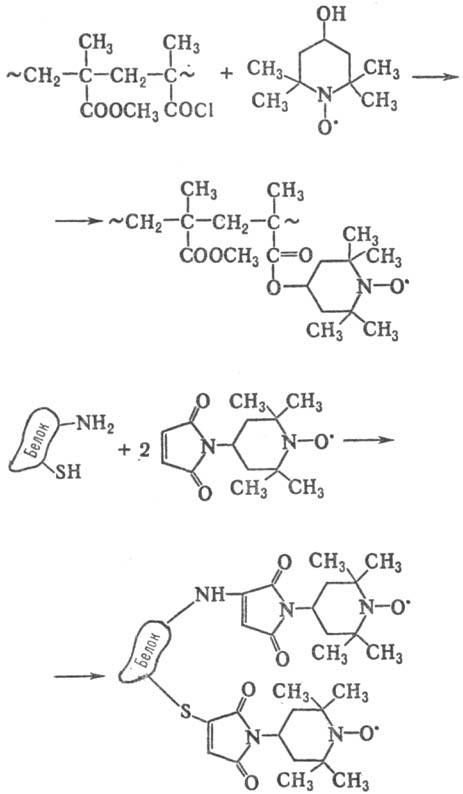 https://www.medpulse.ru/image/encyclopedia/2/2/7/13227.jpeg