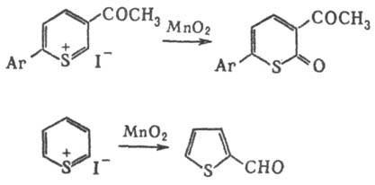 https://www.medpulse.ru/image/encyclopedia/2/2/8/14228.jpeg