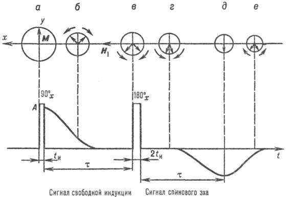 https://www.medpulse.ru/image/encyclopedia/2/3/3/13233.jpeg