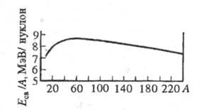 https://www.medpulse.ru/image/encyclopedia/2/3/8/19238.jpeg