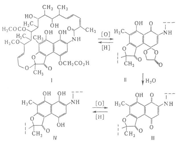 https://www.medpulse.ru/image/encyclopedia/2/4/0/2240.jpeg