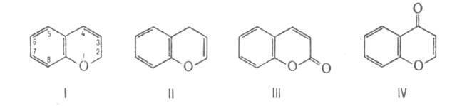 https://www.medpulse.ru/image/encyclopedia/2/4/2/3242.jpeg