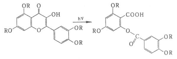 https://www.medpulse.ru/image/encyclopedia/2/4/4/3244.jpeg