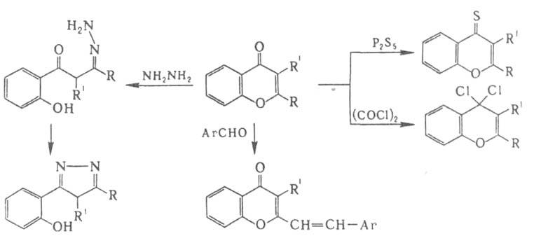 https://www.medpulse.ru/image/encyclopedia/2/4/6/3246.jpeg