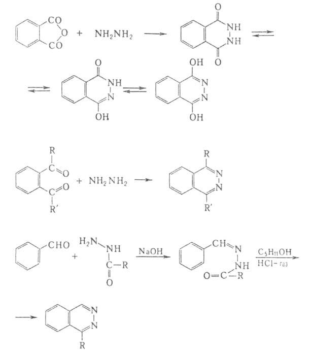 https://www.medpulse.ru/image/encyclopedia/2/6/0/3260.jpeg