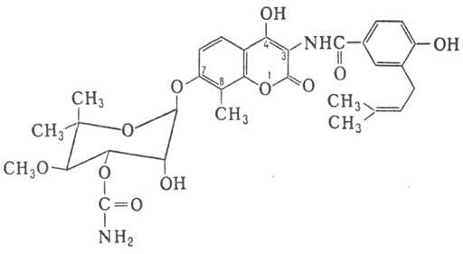 https://www.medpulse.ru/image/encyclopedia/2/7/3/9273.jpeg