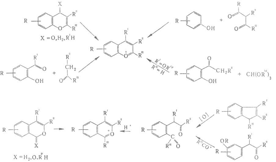 https://www.medpulse.ru/image/encyclopedia/2/8/3/3283.jpeg