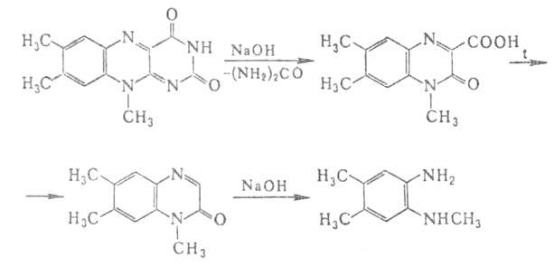 https://www.medpulse.ru/image/encyclopedia/2/8/5/3285.jpeg