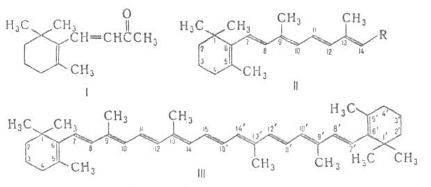 https://www.medpulse.ru/image/encyclopedia/2/9/5/4295.jpeg