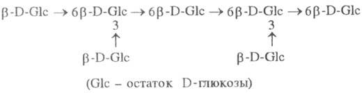 https://www.medpulse.ru/image/encyclopedia/2/9/6/15296.jpeg