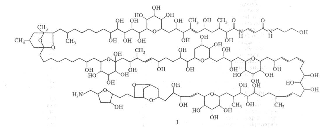 https://www.medpulse.ru/image/encyclopedia/2/9/6/19296.jpeg