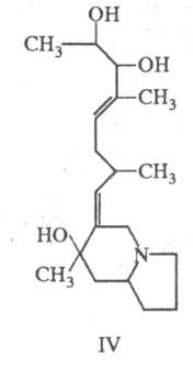 https://www.medpulse.ru/image/encyclopedia/2/9/9/19299.jpeg