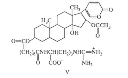 https://www.medpulse.ru/image/encyclopedia/3/0/0/19300.jpeg