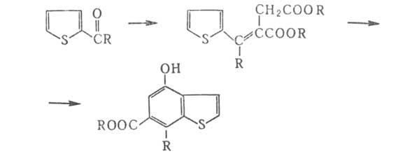 https://www.medpulse.ru/image/encyclopedia/3/0/0/3300.jpeg