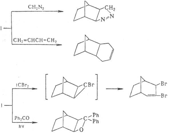 https://www.medpulse.ru/image/encyclopedia/3/0/1/9301.jpeg