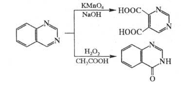 https://www.medpulse.ru/image/encyclopedia/3/0/2/16302.jpeg