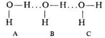 https://www.medpulse.ru/image/encyclopedia/3/0/5/8305.jpeg