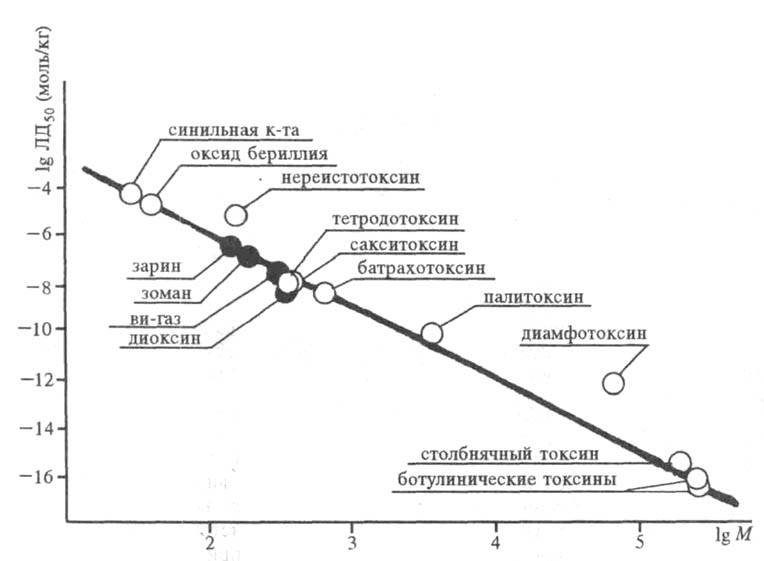 https://www.medpulse.ru/image/encyclopedia/3/0/6/19306.jpeg