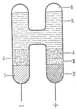 https://www.medpulse.ru/image/encyclopedia/3/0/6/9306.jpeg