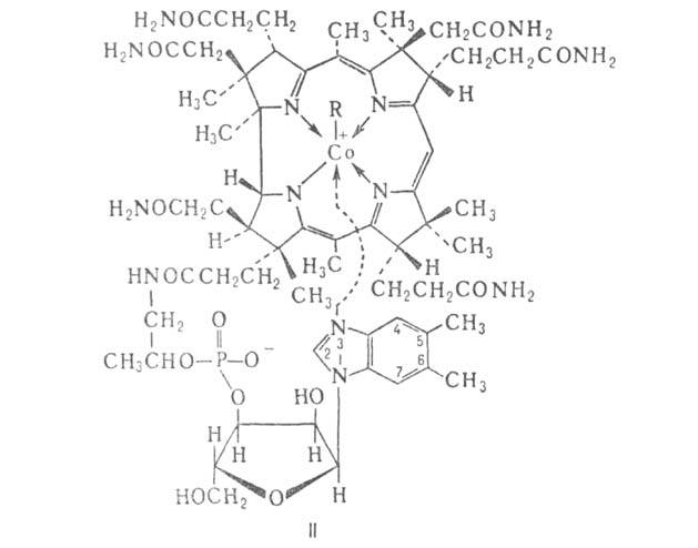 https://www.medpulse.ru/image/encyclopedia/3/0/9/4309.jpeg