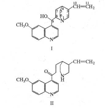 https://www.medpulse.ru/image/encyclopedia/3/1/0/16310.jpeg