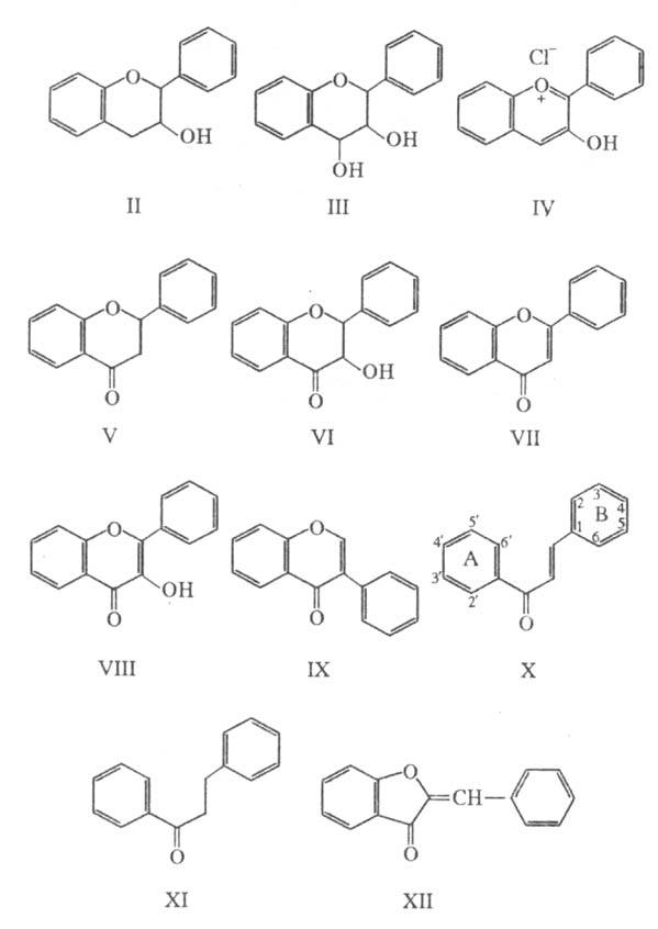 https://www.medpulse.ru/image/encyclopedia/3/1/1/15311.jpeg