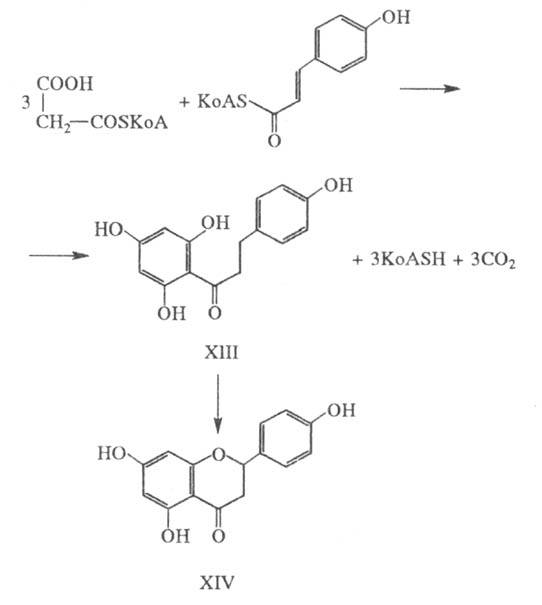 https://www.medpulse.ru/image/encyclopedia/3/1/2/15312.jpeg