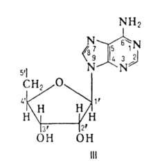 https://www.medpulse.ru/image/encyclopedia/3/1/2/4312.jpeg