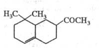 https://www.medpulse.ru/image/encyclopedia/3/1/7/15317.jpeg