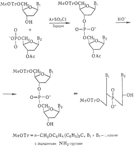 https://www.medpulse.ru/image/encyclopedia/3/1/7/9317.jpeg