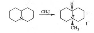 https://www.medpulse.ru/image/encyclopedia/3/1/8/16318.jpeg