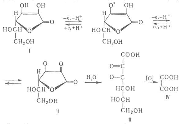 https://www.medpulse.ru/image/encyclopedia/3/1/8/4318.jpeg