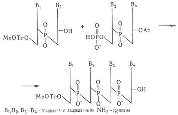 https://www.medpulse.ru/image/encyclopedia/3/1/8/9318.jpeg