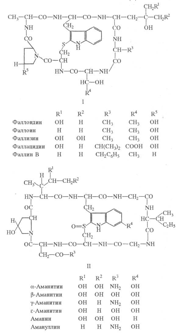 https://www.medpulse.ru/image/encyclopedia/3/1/9/19319.jpeg