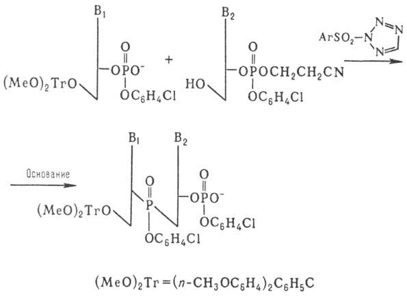 https://www.medpulse.ru/image/encyclopedia/3/1/9/9319.jpeg