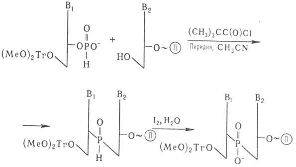 https://www.medpulse.ru/image/encyclopedia/3/2/1/9321.jpeg