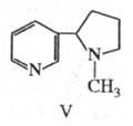 https://www.medpulse.ru/image/encyclopedia/3/2/3/19323.jpeg